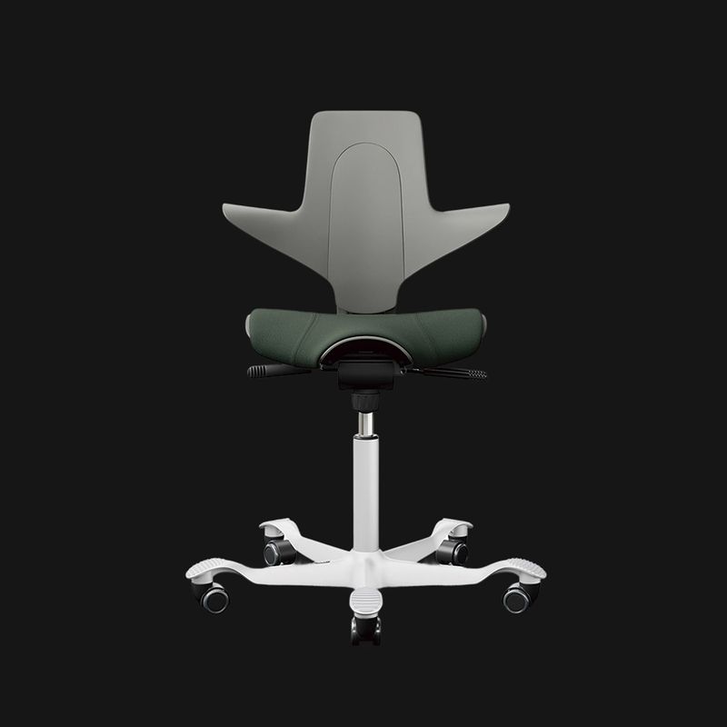 HAG Capisco Puls　ホーグ カピスコ パルス