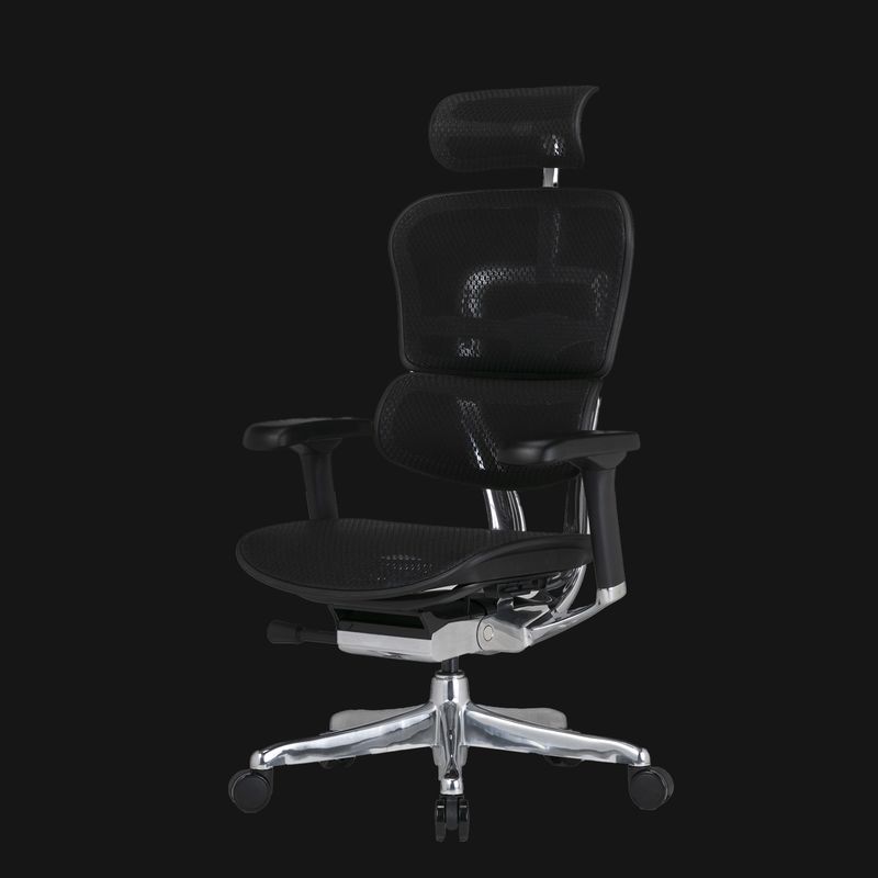 Ergohuman Pro2 high　エルゴヒューマン プロ2 ハイ