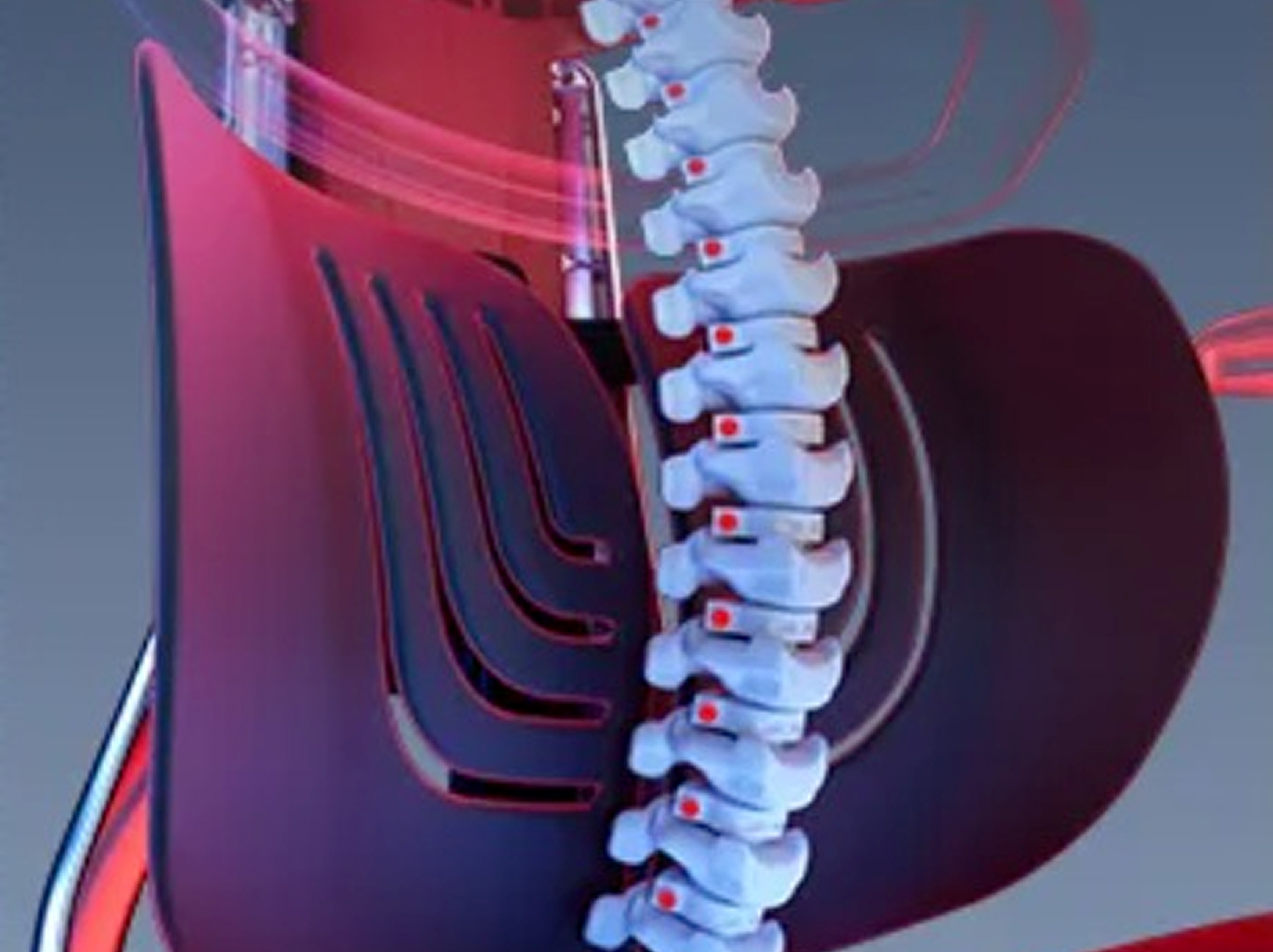 背中と腰を徹底サポート